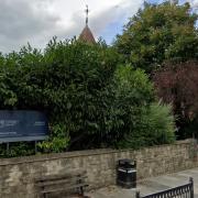 Behind these bushes is the 'outstanding' St Michael's CofE Primary School in Highgate