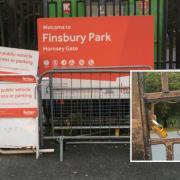 The Hornsey Gate to Finsbury Park is inaccessible to those with learning and physical disabilities (Image: Mary Langan) (