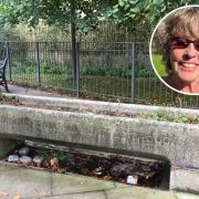 Celia Davies and the Highgate Society are looking for people to maintain the water trough (Image: Highgate Society)