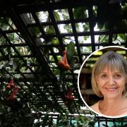 Laura Marks built a succah to celebrate Sukkot (Image: NEWSQUEST)
