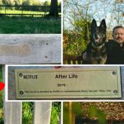 The vandalised bench (left) and the plaque pictured before it was stolen (middle) with Ricky Gervais pictured on a bench (right)