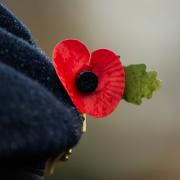 There is a host of events around Remembrance Sunday in north London