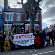 Haringey Tree Protectors at a previous demonstration to save the tree in Oakfield Road, Stroud Green