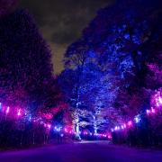 The all new Christmas at Kenwood light trail opens to the public on Friday December 1.
