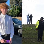 Harry Pitman, 16, has been named as the victim of the stabbing in Primrose Hill on New Year's Eve