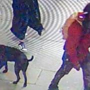 Police have released a CCTV image of a man they want to speak to after a person was stabbed in Central London after an argument over dog poo