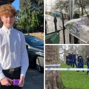 Harry Pitman, 16, was stabbed to death on Primrose Hill on New Year's Eve