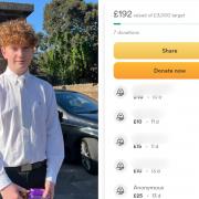 Harry Pitman (left) and a screengrab of the GoFundMe page (right) before it was pulled