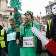 Haringey Tree Protectors dressed as condemned trees and insurers with chainsaws in protest against 'baseless' felling