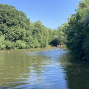 The Mixed Pond on Hampstead Heath will be open to women only this week as the Ladies Pond undergoes repairs