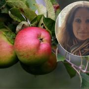 Debbie Bourne wants to plant fruit trees across Camden (Image: PA)
