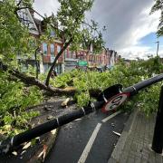 A tree in Crouch End was destroyed by Monday's storm