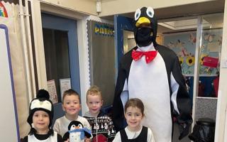 Marie Curie Hampstead appeals to schools and nurseries to join a Penguin Parade fundraiser