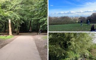 Highgate Wood, Hampstead Heath and Alexandra Road Park are among the Green Flag award winners this year