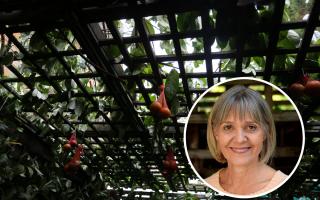 Laura Marks built a succah to celebrate Sukkot (Image: NEWSQUEST)