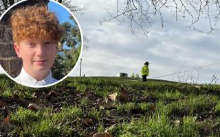 Access to Primrose Hill on New Year's Eve will be reviewed after the fatal stabbing of 16-year-old Harry Pitman (inset)