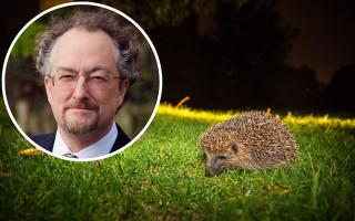 Hampstead Heath are going to conduct a survey on their hedgehogs (Image: Corporation of London)