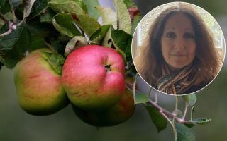 Debbie Bourne wants to plant fruit trees across Camden (Image: PA)