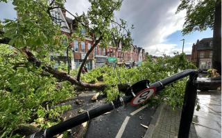 A tree in Crouch End was destroyed by Monday's storm