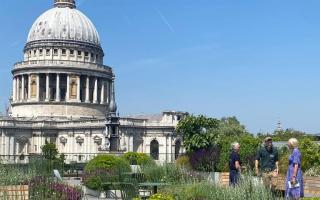 The gardens at 25 Cannon Street are opening for the London Open Gardens event